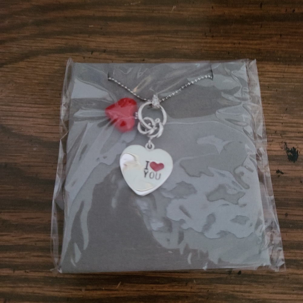 NWOT Heart shaped charm necklace